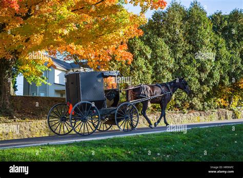 A Horse And Buggy On A Rural Road In Amish Country With Fall Foliage