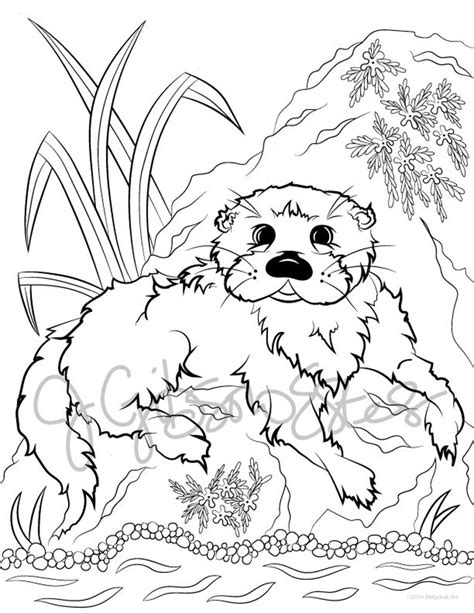 River Otter Printable Coloring Page Etsy