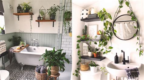 5 Ways To Arrange Plants In A Bathroom