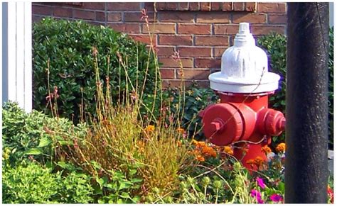 Fire Hydrant Painting And Sandblasting Service Raleigh Nc And Beyond
