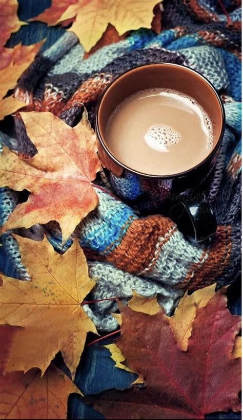 Pin By Jen Virch On Fall Fall Wallpaper Autumn Aesthetic Autumn Cozy