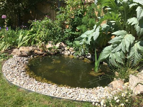 How To Build A Wildlife Pond Part 2 The Small Gardener Fish Pond