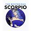 Scorpio The Mysterious Cute Zodiac Sign Gift Astrology Lover For Her 