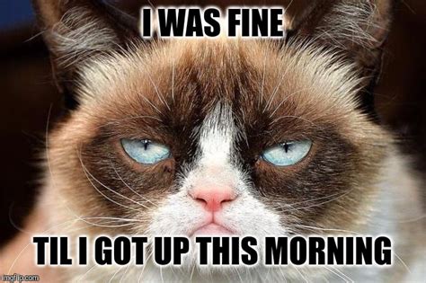 Grumpy Cat Morning Quotes Viral