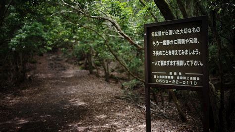 Inside Japans ‘suicide Forest Cnn