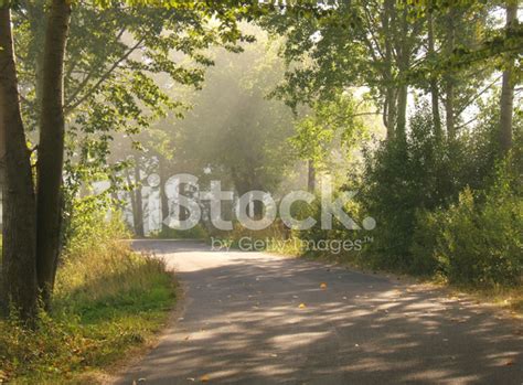 Foggy Road Stock Photo Royalty Free Freeimages