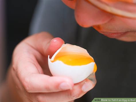 4 Ways To Tell If An Egg Is Bad Wikihow