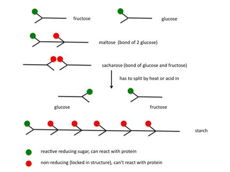 Example Of Reducing Sugar And Non Reducing Sugar Benedict