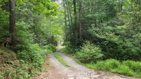 Finney Creek Road Georgia Offroad Trail