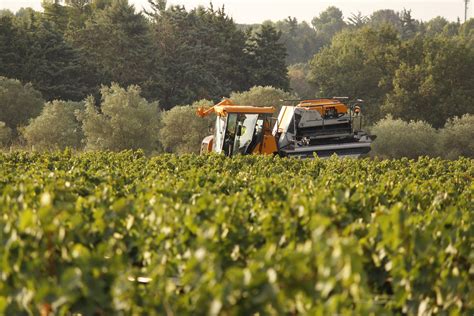 Hérault : le Mas Numérique prépare la viticulture de demain - Hérault : le Mas Numérique prépare 