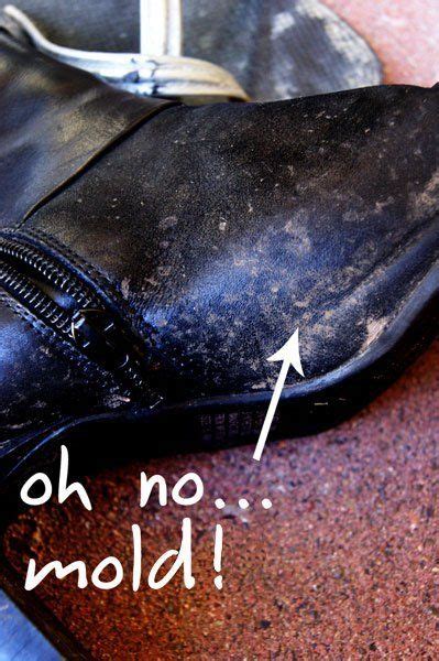 The most important thing to do when getting rid of mould yourself is wear protective clothing. How To Green Clean Moldy Shoes | Clean shoes, Shoe spray ...