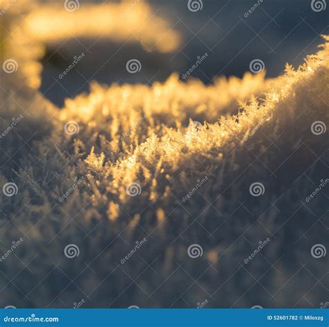 Close Up Of Snow Crystals Stock Photo Image Of Heap 52601782