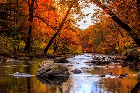 Autumn Creek Shutterbug