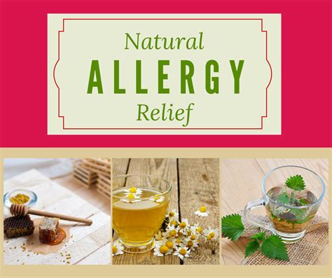 Beat Seasonal Allergies 4 Natural Remedies Natural Allergy Relief