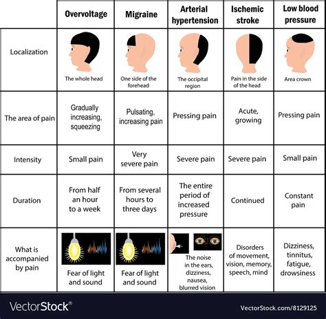 Types Of Headaches By Location Chart My Xxx Hot Girl