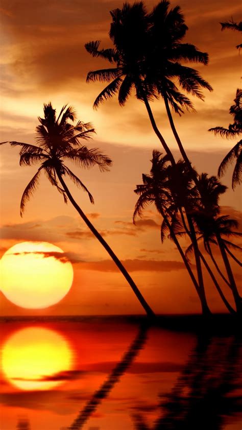 Wallpaper Beautiful Tropical Sunset Palm Trees Sea