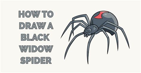 How To Draw A Black Widow Spider Easy Spivey Ablightmed