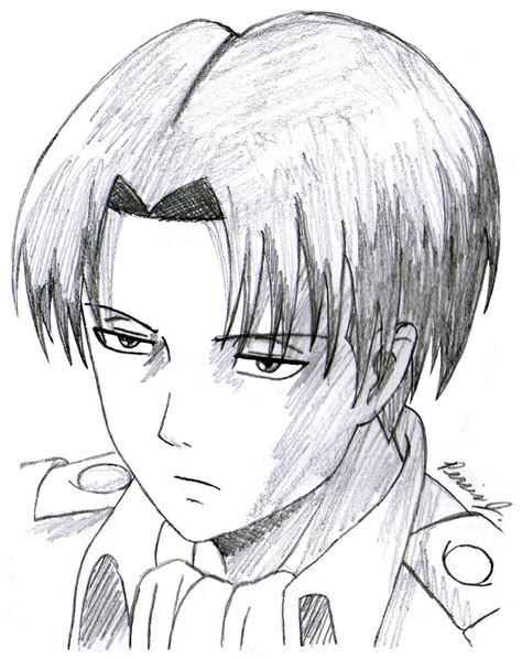 Levi Ackerman Sketch By Pdj004 On Deviantart