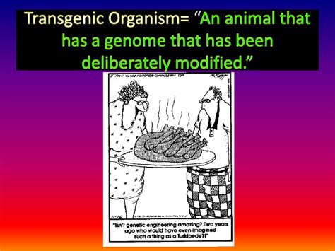 A transgenic animal, for instance, would be an animal that underwent genetic engineering. Transgenic organisms