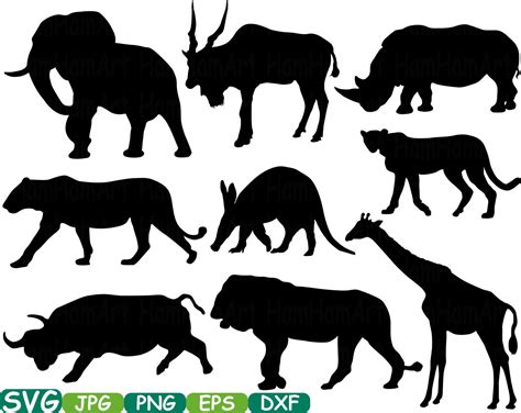 Safari Animals Cutting Files Svg Monogram Silhouette School