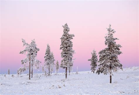 The Magical Colors Of Polar Night Visit Finnish Lapland