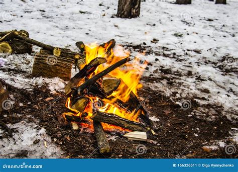 A Bonfire In The Forest In Winter Day Outdoor Bonfire In Winter On The