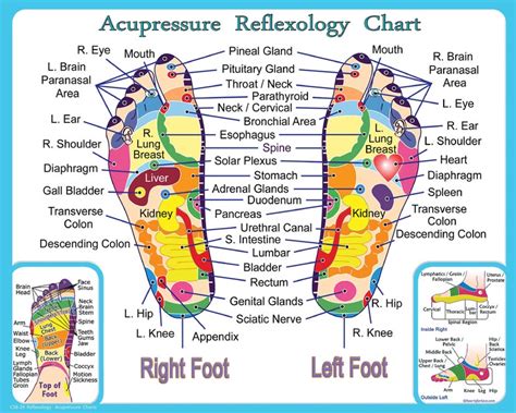 Reflexology And Acupressure Chart For The Feet Print 8x10 Etsy Australia