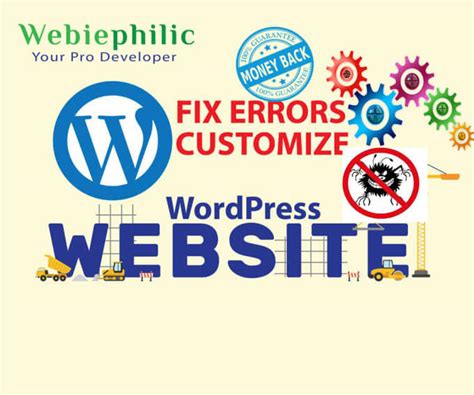 Fix Wordpress Website Bugs Issues Or Errors By Webiephilic Fiverr