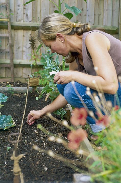 12 ways to get cheap or free garden plants. 11 Ways to Find Free or Cheap Garden Plants
