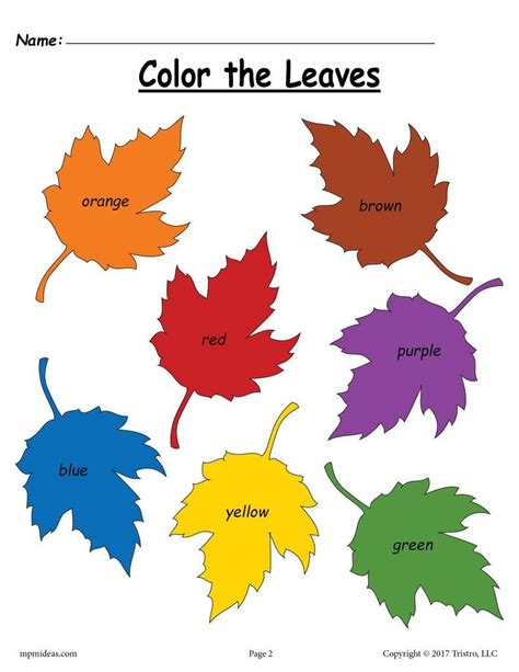 Sorting Leaves Worksheets