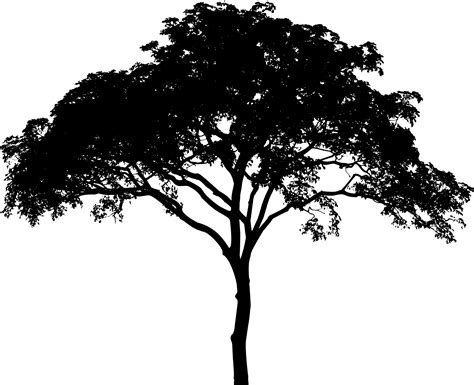 Clipart Savannah Tree Silhouette