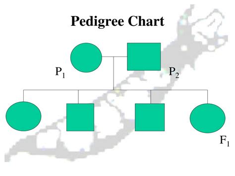 Ppt Pedigree Charts Powerpoint Presentation Free Download Id731752