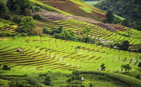 3d2n Authentic Hill Tribe Doi Inthanon And Rice Terraces Tour