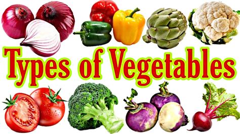 Types Of Vegetables Classification Of Vegetables Parts Of Plant