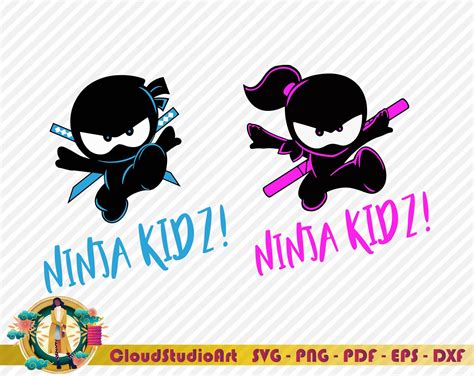 Ninja Girl Birthday Shirts Etsy