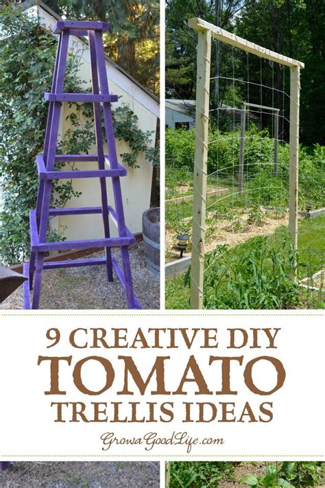 9 Creative Diy Tomato Trellis Ideas Tomato Trellis Tomato Garden