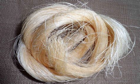 Abaca International Natural Fiber Organization