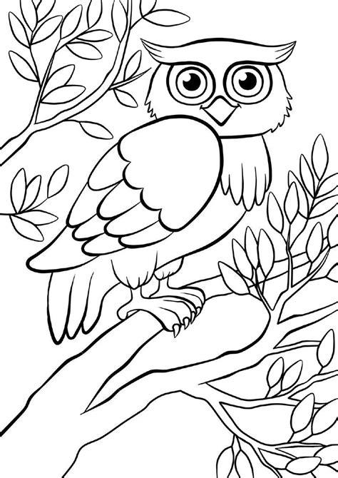Owl Coloring Pages For You
