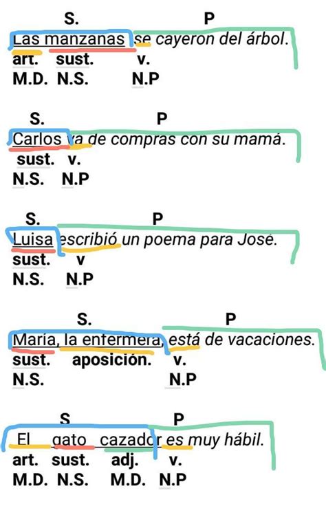 10 Oraciones 15 Ejemplos De Oraciones Con Sujeto Verbo Y Predicado