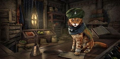 Meet The Cats Of Zos The Elder Scrolls Online With Images Elder
