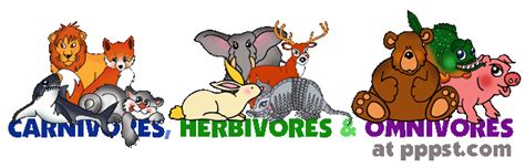 Herbivores rely only on plant materials, and carnivores rely only on meat. PROYECTO BILINGÜE C.R.A. ENTRETIERRAS: Year 3 Homk: Give ...