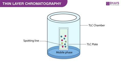Thin Layer Chromatographytlc اتحاد زیست شناسان ایران