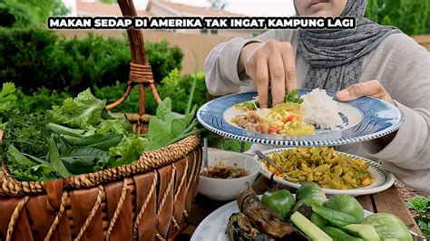 Petik Sayur Hasil Tanam Sendiri Di Perkarangan Rumah Nak Makan Nasi