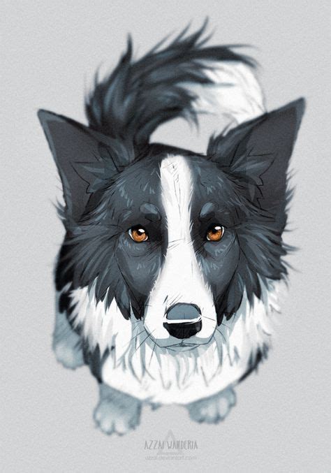 53 Ideas Dogs Drawing Border Collie In 2020 Animal Drawings Cute