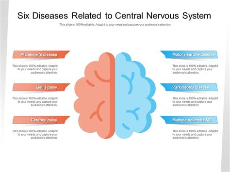 Six Diseases Related To Central Nervous System Powerpoint Slides Diagrams Themes For Ppt