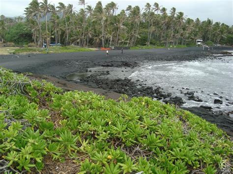 punalu u black sand beach park hawaiian beaches sand beach windsurfing black sand big island