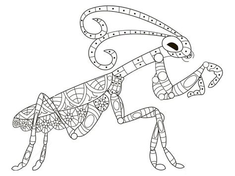 Dibujos Para Colorear Mantis Religiosa Imprimible Gratis Para Los