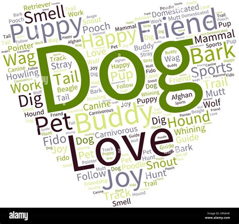 Dog Word Cloud On A White Background Stock Vector Image And Art Alamy