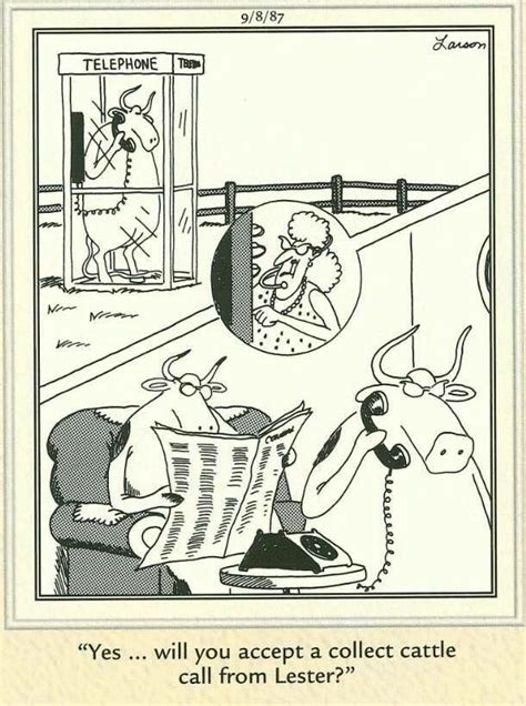 The Far Side By Gary Larson While Filming Rawhide The Cattle Got