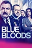 Blue Bloods (TV Series 2010- ) - Posters — The Movie Database (TMDB)